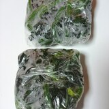 いつでも手軽に♪　葉野菜の冷凍保存法